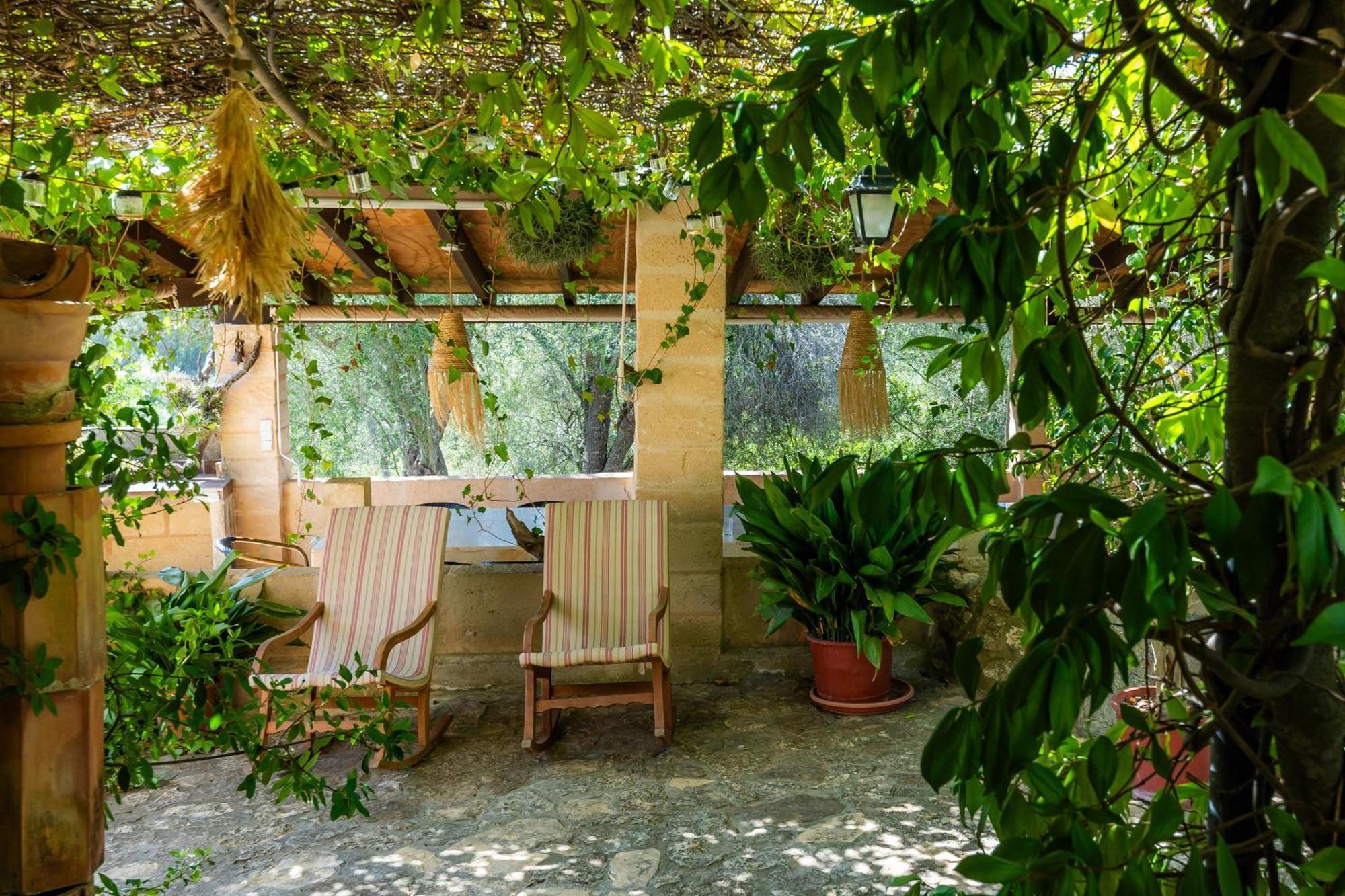 Ses Solls * Petra (Mallorca)