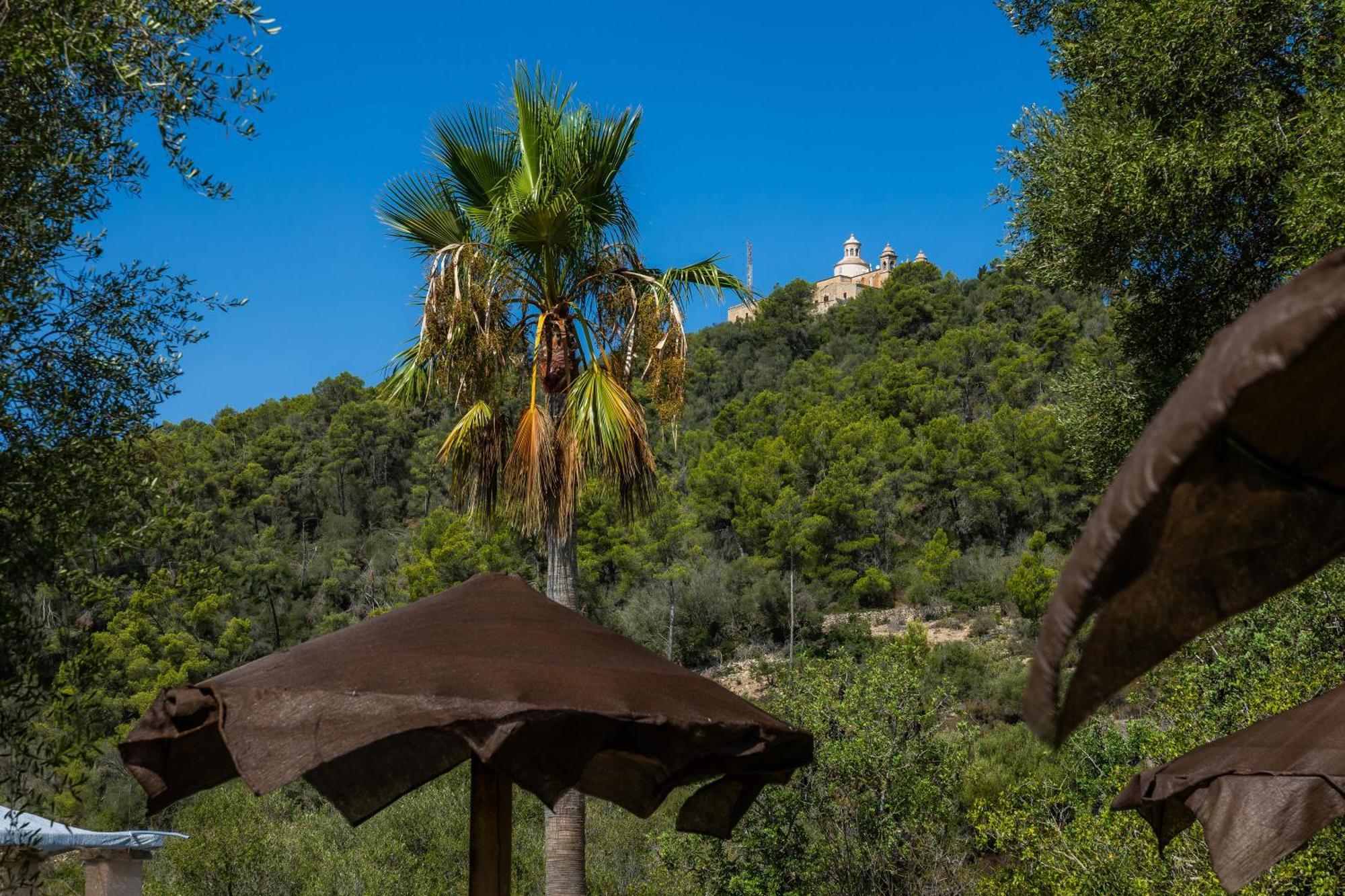 Ses Solls Petra (Mallorca)