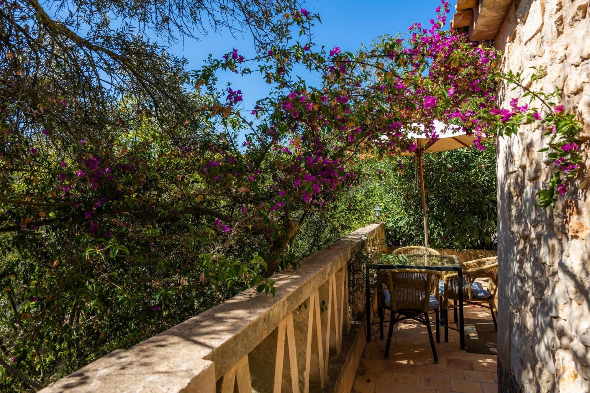 Ses Solls Petra (Mallorca)